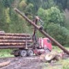 Approvisionnement des entreprises de la filière bois