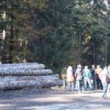 Partenariat européen de l'innovation: les acteurs forestiers se mobilisent