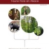 Retrouver l'équilibre faune flore: une urgence pour les forêts d'Alsace