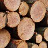 Valoriser la ressource bois local sur son territoire