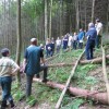 Travail illégal en forêt: protéger le tissu économique local