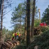 Le câble, une solution pour mobiliser du bois en forêts de montagne