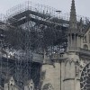 Reconstruction de Notre-Dame de Paris : la filière forêt-bois s'organise