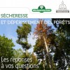 Sécheresse et dépérissement des forêts: les réponses à vos questions