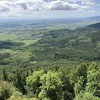 Un programme ambitieux à mener pour les forêts