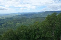 Les forêts en péril : l'inacceptable suppression de postes à l'Office national des forêts