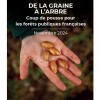 De la graine à l'arbre, coup de pousse pour les forêts publiques françaises