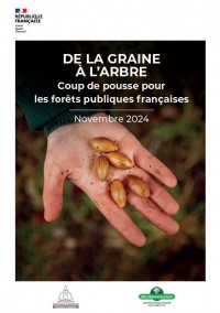 De la graine à l'arbre, coup de pousse pour les forêts publiques françaises